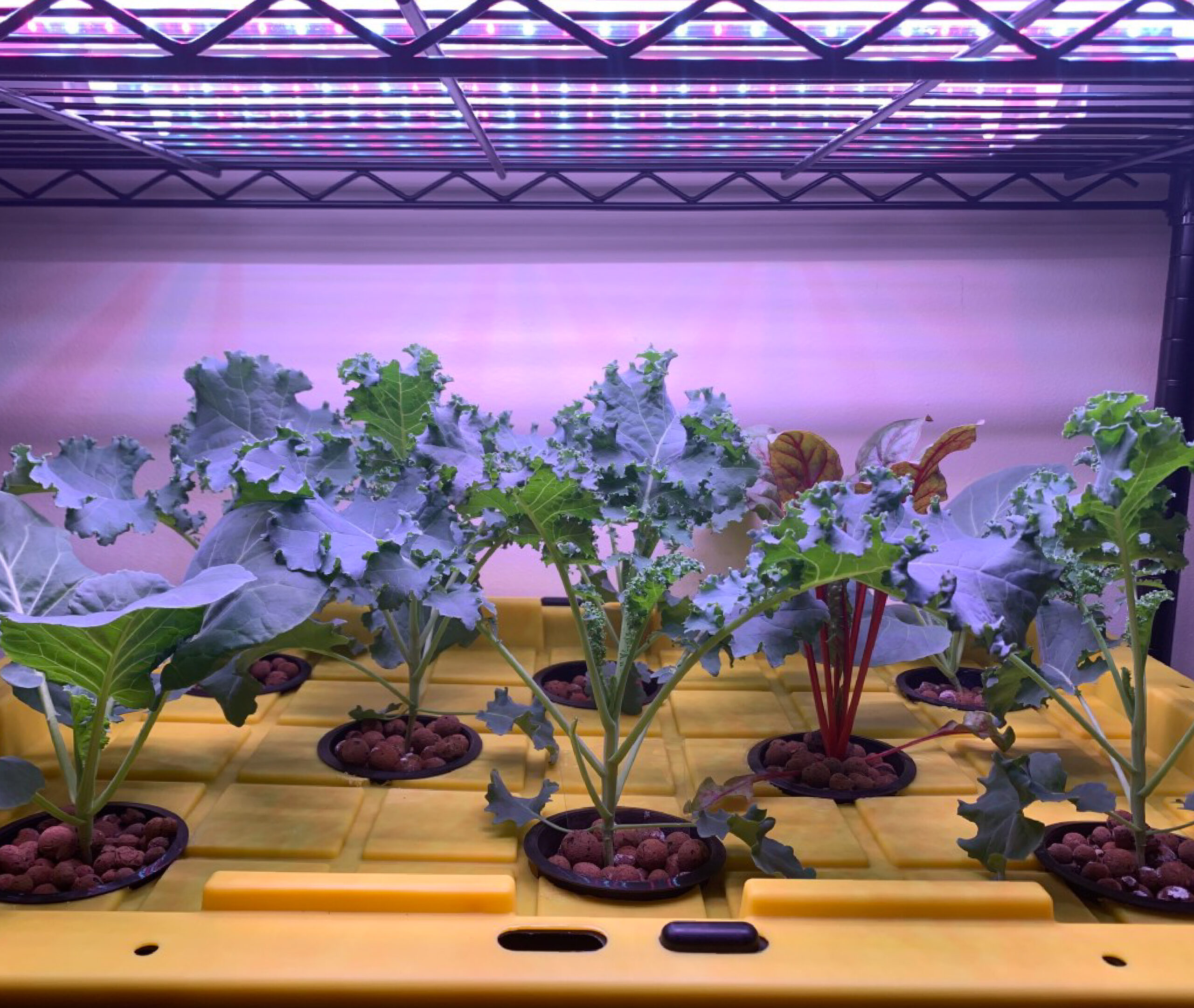 https://pnwgardensupply.com/wp-content/uploads/2021/06/P3N2-DIY-Hydroponic-System-HeaderImg-01-scaled.jpg